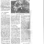 article_relou Conduite4